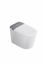 Load image into Gallery viewer, Floor-mounted smart toilet-RF-865-F
