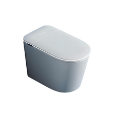 Load image into Gallery viewer, Floor-mounted smart toilet-RF-865-F