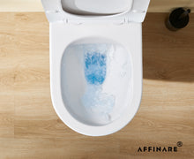 Load image into Gallery viewer, AFFINARE AFT-WM535 Matte Rimless Wall Hung WC Toilet | FIUME Series Matching Sanitaryware