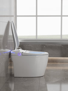 RF-90 AFFINARE Luxury Automatic Flush Wc Intelligent Toilet Bowls Water Closet Smart Toilet With Remote Control