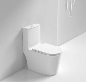 RF-8622-AFFINARE Washdown Rimless ONE-PIECE TOILET