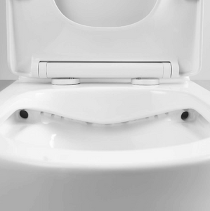 RF-8624-AFFINARE Washdown ONE-PIECE TOILET