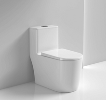 Cargar imagen en el visor de la galería, RF-8624-AFFINARE Washdown ONE-PIECE TOILET
