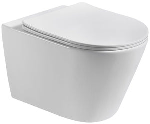 RF-9312-AFFINARE New flush Washdown Rimless wall hung toilet