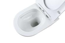 Carica l&#39;immagine nel visualizzatore di Gallery, RF-9312-AFFINARE New flush Washdown Rimless wall hung toilet
