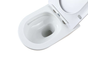 RF-9312-AFFINARE New flush Washdown Rimless wall hung toilet