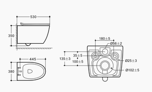 Wall-hung Toilet-9316