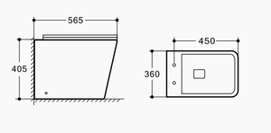 Wall-hung Toilet-9700