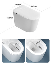 Load image into Gallery viewer, Floor-mounted smart toilet-RF-865-F
