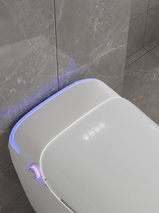 RF-90 AFFINARE Luxury Automatic Flush Wc Intelligent Toilet Bowls Water Closet Smart Toilet With Remote Control