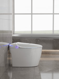 RF-90 AFFINARE Luxury Automatic Flush Wc Intelligent Toilet Bowls Water Closet Smart Toilet With Remote Control